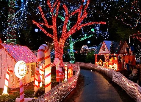 Bright Nights in Stanley Park 2024 | Vancouver | Vancouver Christmas Guide Vancouver Christmas, Miniature City, Stanley Park Vancouver, Stanley Park, Christmas Guide, Mormon Temple, Christmas Train, Indoor Playground, Christmas Mood