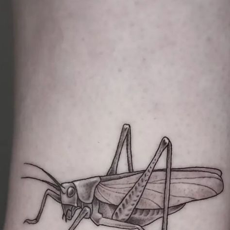 HAMMERSMITH TATTOO LONDON on Instagram: "Cricket tattoo by @marcelina.tattoo 🦗 To book your tattoo with Marcy contact her directly 🙌 @hammersmith_tattoo_london #tattoo #cricket #crickettattoo #neotrad #neotraditional #neotraditionaltattoo #londontattoo #tattoolondon #hammersmith #hammersmithtattoo #london" Cricket Tattoo, London Tattoo, Neo Traditional, London, Tattoos, On Instagram, Instagram, Art