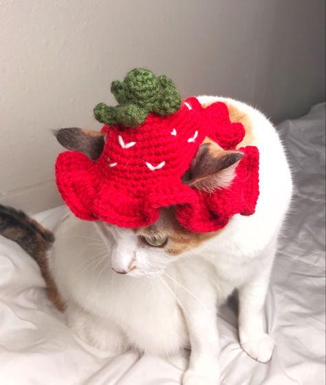 Strawberry Bucket Hat, Cat Hat Crochet, 2023 Crochet, Crochet Cat Hat, Crochet Strawberry, Cute Strawberry, Cat Hat, Hat Crochet, Crochet Cat