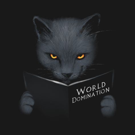 Cat World, Evil Cat, I Do What I Want, T Shirt World, Bad Cats, Cat Books, Taking Over The World, Crazy Life, World Domination