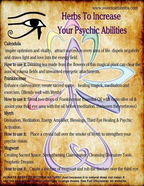 Sister Spell Binder on Twitter: "Herbs to increase your Psychic Abilities… " Herb Spells, Witchcraft Herbs, Witchcraft Spells For Beginners, Magickal Herbs, Spells For Beginners, Magia Das Ervas, Healing Spells, Magic Herbs, Magick Spells