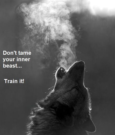 Don't Tame Your Inner Monster: Harness It! | FrankBorelli.com Inner Monster, Monster Quotes, Writing Short Stories, Look In The Mirror, Dark Side, Cool Words, I Am Awesome, Movie Posters