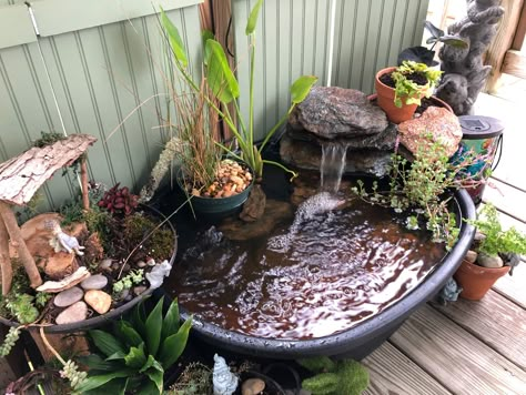 Diy Mini Pond, Homemade Pond, Small Water Gardens, Mini Pond, Aquarium Garden, Fish Pond Gardens, Patio Pond, Aquascape Design, Indoor Water Garden