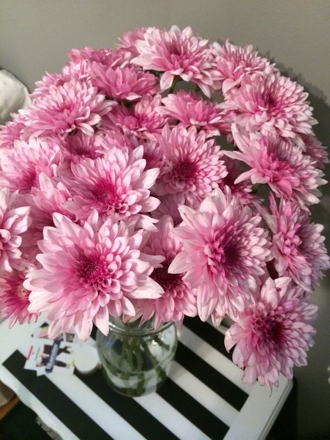 Fresh flowers Crysantenum Flower, Nothing But Flowers, Chrysanthemum Flower, Flower Therapy, Pink Accents, Birth Flowers, Chrysanthemum, Pretty Flowers, Fresh Flowers