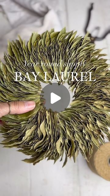 Laurel Leaf Wreath, Bay Leaf Decoration, Bay Leaf Wreath Diy, Homestead Apothecary, Leaf Wreath Diy, Bay Leaf Garland, Bay Wreath, Bay Leaf Wreath, Gold Laurel Wreath