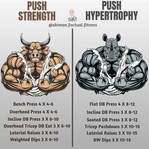 Hypertrophy Workout, Push Day Workout, Push Pull Workout, Healthy Physique, Workouts For Men, Muscle Bodybuilder, Push Pull Legs, Push Workout, Push Day