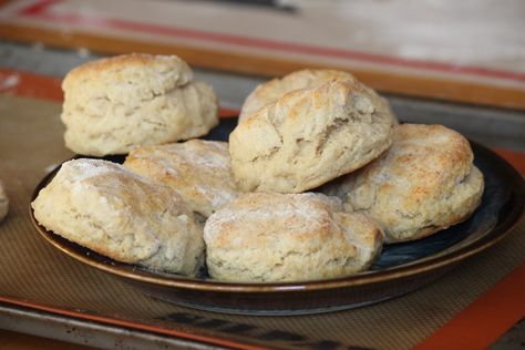 Fluffy Light Spelt Biscuits Spelt Biscuits, Spelt Bread Recipe, Spelt Flour Recipes, Spelt Recipes, Flour Biscuits, Spelt Bread, Fluffy Light, How To Make Biscuits, Spelt Flour