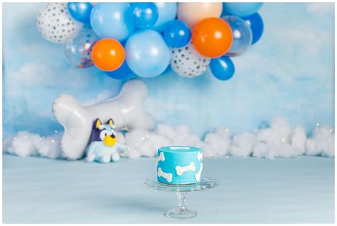 Bleuy Theme Cake Smash Photoshoot Setup. Bluey Inspired Photoshoot, Bluey Cake Smash Photoshoot, Bluey Cake Smash Photography, Bluey Smash Cake For Girl, Bluey Birthday Photoshoot, Bluey Photoshoot, Bluey Cake Smash, Bluey Smash Cake, Bluey Themed Cake