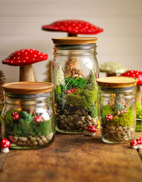 Fairy Garden Terrariums — Must Love Herbs Daydream Ideas, Love Herbs, Garden Terrarium, Home Canning, Kitchen Themes, Local Crafts, Canning Jars, Little Flowers, Mulch