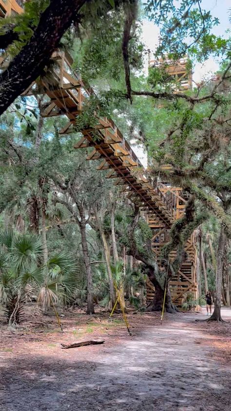 Myakka River State Park canopy walk viewed from the ground.The Myakka River State Park canopy walk is a unique hike among the tree tops. This beautiful state park is full of palm trees, alligators and a tower where you can see for miles around. See the forest from a unique perspective and enjoy one of Florida's oldest state parks. Myakka State Park Florida, Florida Forest, Mount Dora Florida, Myakka River State Park, Dunedin Florida, Florida Pictures, Florida Parks, Vacations In The Us, Venice Florida