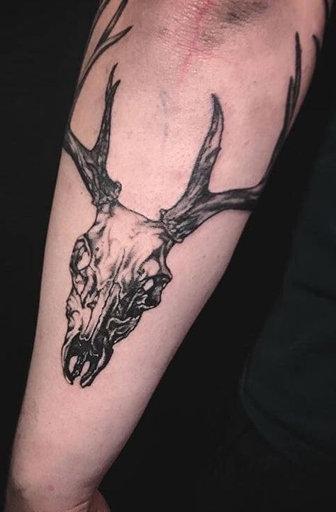 Desert Flowers Tattoo, Desert Tattoo Ideas, Desert Tattoos, Deer Antler Tattoos, Deer Hunting Tattoos, Deer Skull Tattoo, Buck Tattoo, Deer Skull With Antlers, Deer Tattoos