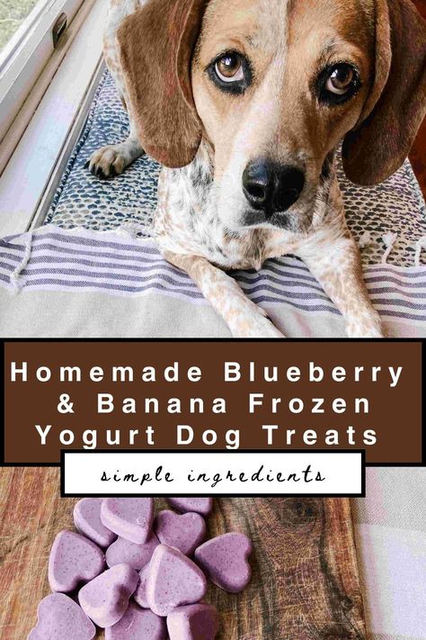 Homemade Yogurt Dog Treats with Simple Ingredients - Essentials for our Life Yogurt Dog Treats, Make Dog Treats, Banana Frozen Yogurt, Yogurt Treats, Frozen Dog Treats Homemade, Banana Frozen, Easy Dog Treat Recipes, Frozen Dog Treats, Easy Dog Treats