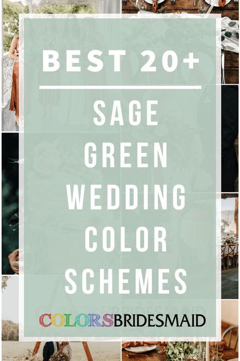 Top 40+ Wedding Colors for All Seasons and Colors - ColorsBridesmaid Orange Green Wedding Colors, Sage Green And Sunflower Wedding, Sage Green And Yellow Wedding, Wedding Invitations Sage Green, Sage Green Wedding Flowers, Country Wedding Colors, August Wedding Colors, Sage Green Bridesmaid Dresses, Sage Green Bridesmaid