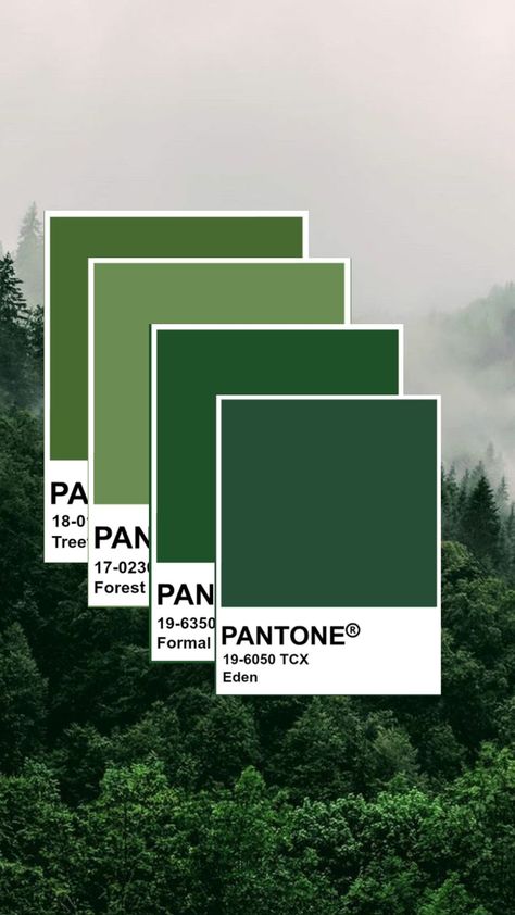 #forestaesthetic #forestgreen #green #pantone Green Pantone Palette, Forest Green Pantone, Green Pantone, Green Board, Dark Forest Aesthetic, Pantone Palette, Kelp Forest, Forest Aesthetic, Alpine Green