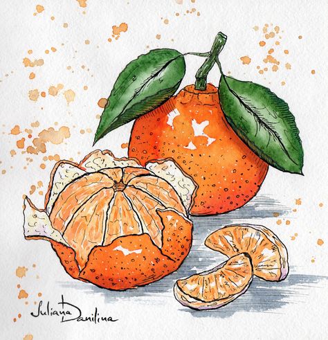 GUEST DOODLEWASH: Learning To Have Faith In Yourself Drawing Of An Orange, Garden Journals, Cooking Illustration, Book Sketches, Faith In Yourself, Painting Food, Love Watercolor, Learn Watercolor Painting, Minimal Painting