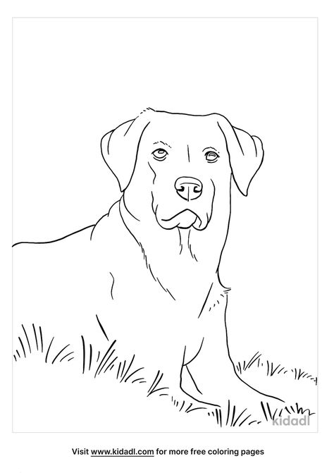 Black Lab Coloring Pages | Free Animals Coloring Pages | Kidadl Labrador Coloring Pages Free Printable, Labrador Coloring Page, Free Printable Dog Coloring Pages, Black Lab Drawing, Dog Coloring Pages Free Printable, Labs Dogs, Drawings To Trace, Dog Stencil, Black Labs Dogs