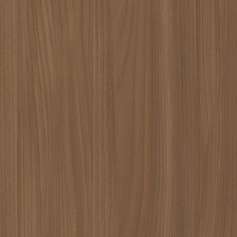 5795 Camel Elm - Formica® Laminate - Commercial Formica Colors, Formica Laminate, Marker Board, Color Sorting, Dry Erase, Wood Grain, Laminate, Natural Wood, Camel