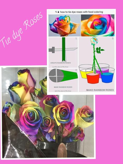 How To Dye Roses, Food Coloring Tie Dye, Tie Dye Roses, Spring Arts And Crafts, Tie Dye Birthday, Tie Dye Party, How To Tie Dye, Rose Stem, Rainbow Roses