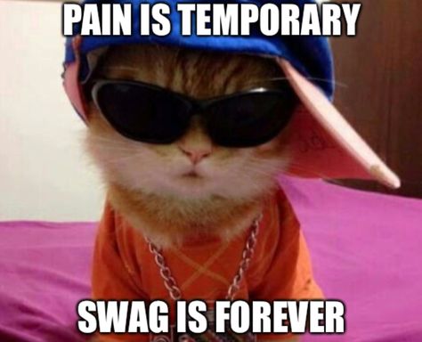 swag meme bc swag Swag Meme, Sunglasses