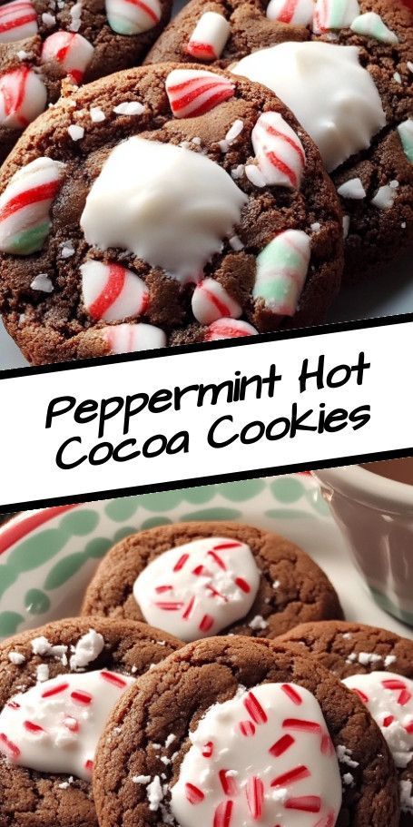 Hot Chocolate Peppermint Cookies: Indulge in the rich flavors of hot chocolate with a refreshing hint of peppermint in these delightful cookies. Perfect for fall evenings or holiday treats. #ChocolateLovers #PeppermintPerfect #HolidayBaking #CozyCookies #SweetTreats #FallFavorites Hot Chocolate Crinkle Cookies, Hot Cocoa Christmas Cookies, Hot Fudge Cookies, Hot Cocoa Peppermint Cookies, Hot Chocolate Peppermint Cookies, Peppermint Cake Mix Cookies, Chocolate Chip Peppermint Cookies, Peppermint Hot Cocoa Cookies, Hot Chocolate Cookies Recipe