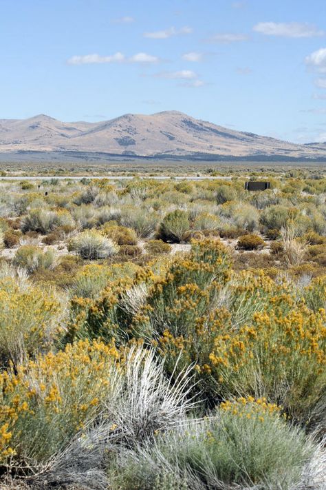 Desert Tattoo, Utah Landscape, Easy Jet, Nevada Desert, Desert Photography, Places In California, Cheap Flight, Cheap Flight Tickets, Southwest Desert