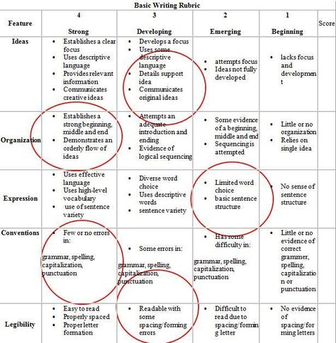 Here you will find a simple elementary writing rubric, along with a few samples of expository and narrative rubrics. Rubric For Essay Writing, Essay Rubric High School, Writing Rubrics, Ap Lang, Writing Essays, Writing Websites, 5th Grade Writing, Writing Rubric, 4th Grade Writing