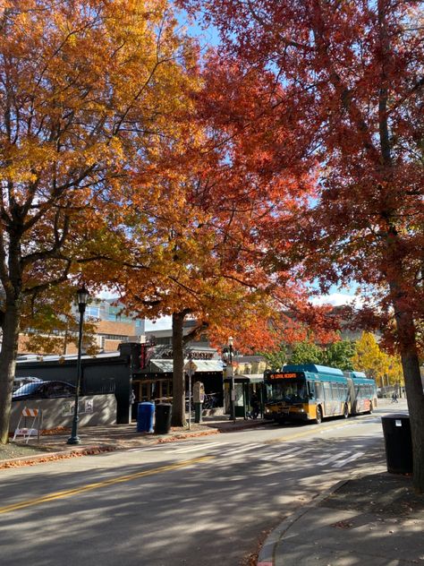 Seattle Fall Aesthetic, Seattle Halloween, Uw Seattle, Seattle Fall, Pnw Fall, Autumn Ambience, Pnw Aesthetic, Seattle Street, Usa Life