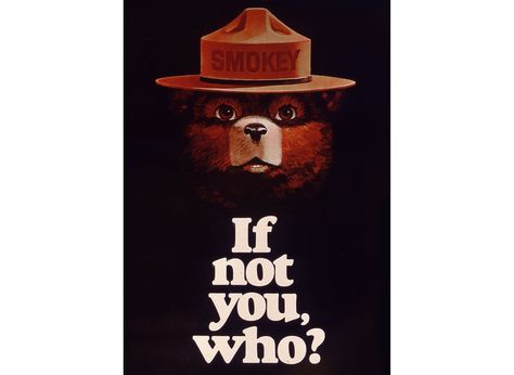 70 Years of Smokey: The Story of America's Firefighting Bear The Bear Poster, Smokey The Bear, Poster Art Prints, Smokey Bear, Graphic Design Styles, Smokey The Bears, Vintage Poster Art, Support Artists, Back To Nature