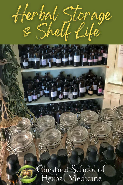 Whether you grow your own herbs or purchase them from a bulk supplier, storing dried herbs properly will ensure they enjoy a long life filled with potency and freshness. #apothecary #herbalist #herbalmedicine #herbalism #shelflife #storage #pantrystorage #vinegar #homesteading Bulk Herb Storage Ideas, Dried Herb Storage, Apothecary Closet Ideas, Herbalist Room, Tincture Storage, Herb Storage Ideas, Home Apothecary Storage, Herbalist Shop Design, Apothecary Storage