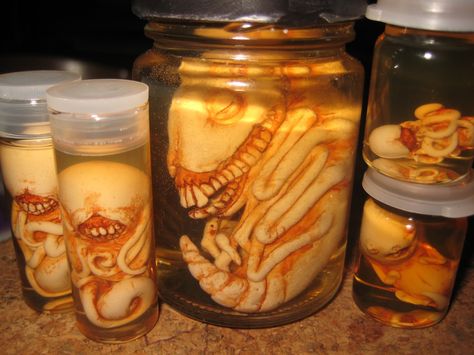 Whats Brewing - Pumpkinrot's things in jar. Mad Scientist Halloween, Alien Halloween, Halloween Jars, Halloween Apothecary, Mascaras Halloween, Halloween Potions, Creepy Things, Halloween 2020, Halloween Inspiration