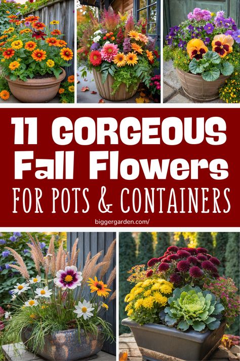 Get inspired with 11 stunning fall flower arrangements for pots. From autumn planters to fall container gardens, explore fall pots and container garden design ideas. Include fall planters and garden plants design, featuring fountain grass. Fall Pansy Containers, Fall Plant Pot Ideas, Flowerpot Arrangements Outdoor, Fall Planter Boxes Ideas, Fall Plants For Containers, Autumn Flower Pots, Fall Outdoor Plants And Flowers, Outdoor Fall Flowers Planters, Autumn Flower Pots Fall Containers