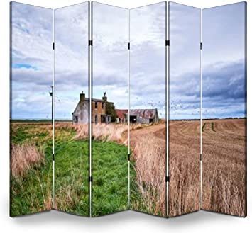 VDSRYGMLB Wood Screen Room Divider House Ruin in Remote Landscape of Scotland Folding Screen Canvas Privacy Partition Panels Dual-Sided Wall Divider Indoor Display Shelves 6 Panels Privacy Partition, Wall Divider, Screen Room Divider, Wood Screens, Screen Room, Divider Wall, Folding Screen, Display Shelves, Wind Turbine