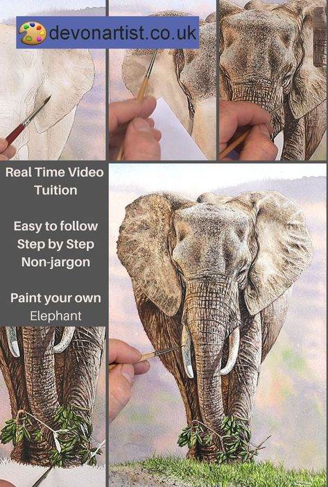 4 work in progress photos and the finished painting of an elephant.  From the first wash on the ear, to the first details on the ear, and finishing off with the trunk and the leaves. Watercolor Elephant Tutorial, Learning Art, Watercolor Paintings Of Animals, Watercolor Art Diy, Watercolor Tutorial, Watercolor Video, Watercolor Elephant, Elephant Painting, Wildlife Artists