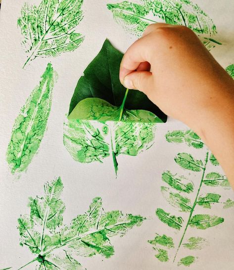 Natalie on Instagram: “Leaf stamping 🌿 . Here’s a simple, fun way to play with leaf shapes ~ gather leaves from the trees in your yard, cover the undersides with…” Nature Play Ideas, Leaf Stamping, Study Lesson, Trees For Kids, Homeschool Nature, Summer Tree, Backyard Trees, About Trees, Tree Study