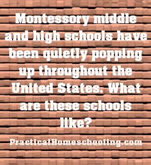 Montessori+High+-+Montessori+education+is+not+just+for+preschool+anymore. Montessori Middle School Activities, Montessori Middle School, Montessori High School, Education Preschool, Montessori Elementary, Teaching Philosophy, High School Activities, Montessori Homeschool, Montessori Education