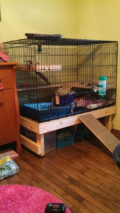 Bunny home Hedgehog Pet Cage, Diy Bunny Cage, Diy Guinea Pig Cage, Bunny Cage, Bunny Hutch, Bunny Room, Raising Rabbits, Rat Cage, Indoor Rabbit