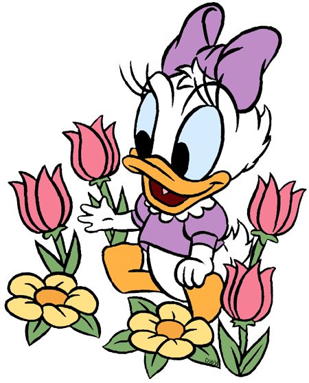 Daisy Duck Party, Pata Daisy, Baby Disney Characters, Disney Babies, Duck Pictures, Disney Clipart, Baby Daisy, Mickey Baby, Donald And Daisy Duck