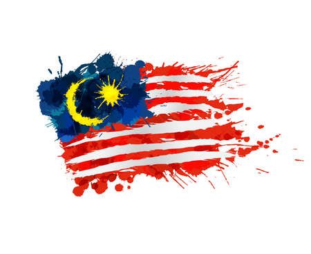 Malaysia Flag Aesthetic, Malaysian Flag, Indian Flag Images, Malaysia Flag, Eid Mubarak Images, Splash Images, Door Signs Diy, Indian Flag, Flag Vector