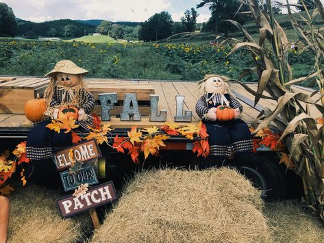 #fall #fallphotography #photography #vsco #instagram #outfit #outfitinspo #pumpkin #pumpkinpatch Pumpkin Parade Float, Fall Parade Float Ideas, Fall Float, Halloween Science, Parade Float, Autumn Photography, Pumpkin Patch, Float, Monster Trucks