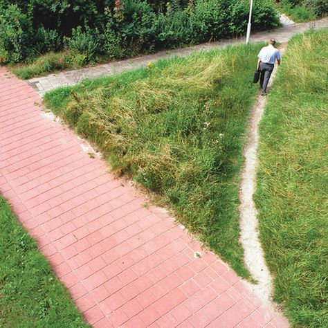 Always look for a shortcut. Living Like Larry, Vibe Pics, Auditorium Design, Concrete Path, Programming Humor, Happy City, Urban Landscape Design, Landscape Design Plans, User Experience Design