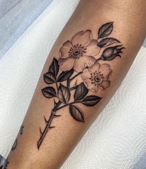 Lorin Devine on Instagram: “Wild rose stem for Veronica 🖤 BOOKING UPDATE: I’m pushing out opening my books to next week, the form will be up 5/20-23 and I’ll be…” Wild Rose Tattoo, Thorn Tattoo, Rose Thorns, 23 And Me, Rose Stem, My Books, Wild Rose, Rose Tattoos, Wild Roses