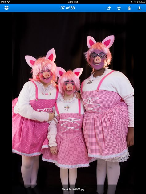 3 pigs if girls Halloween Costumes With Friends, Shrek Costume Ideas, Shrek Makeup, Shrek Birthday Party, Theatre Workshop, Shrek Musical, Shrek Costumes, Three Little Pig, Pig Costume