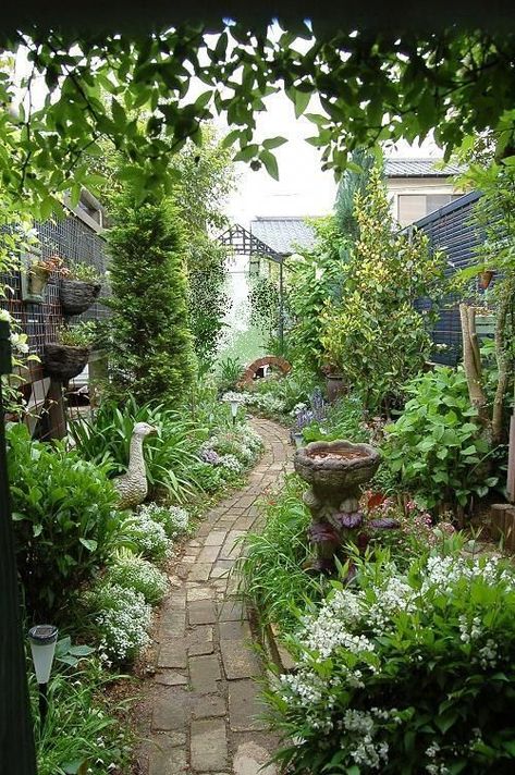 Lots Of Plants, Narrow Garden, Brick Path, Cottage Garden Design, Garden Arbor, Garden Path, Garden Pathway, Side Yard, Plants And Flowers