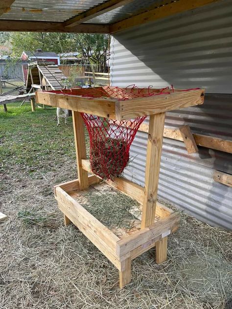 Outdoor Hay Feeder For Horses, Horse Ideas Creative, Horse Grain Storage, Diy Horse Hay Feeder, Horse Feeder Ideas, Hay Storage Ideas, Diy Goat Hay Feeder, Horse Hay Feeders, Horse Slow Feeder