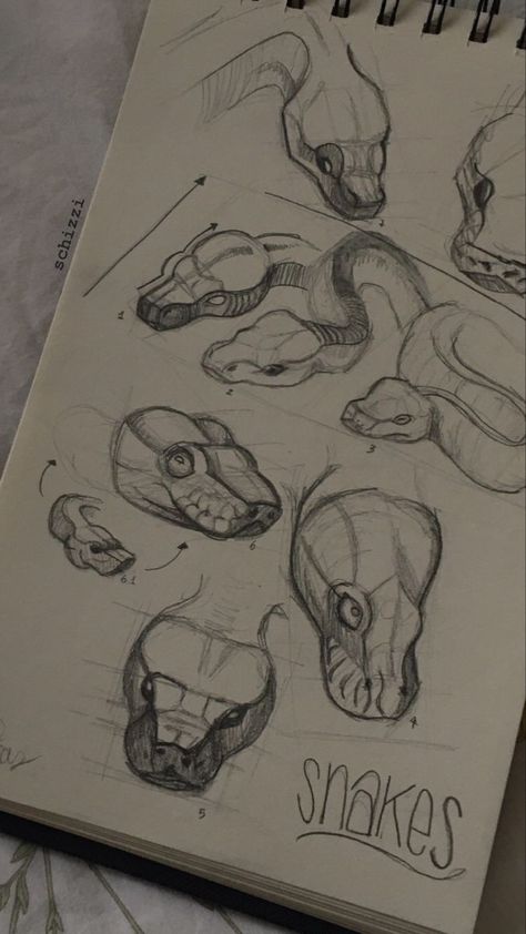 Snake Tutorial Drawing, Serpent Drawing Reference, Coiled Snake Drawing Reference, Boa Snake Drawing, Snake Fangs Drawing, Gothic Snake Drawing, Snake Head Tutorial, Snake Coiled Drawing, Slytherin Snake Drawing