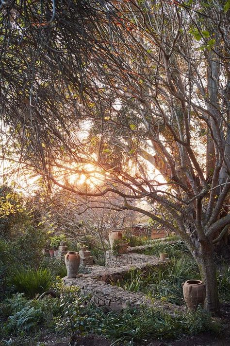 TARA DILLARD: How to Site Urns on Stone Walls & Simplicity of Garden Design Moroccan Garden, Abandoned Vehicles, Garden Walls, Derelict Buildings, Hillside Garden, Shady Tree, Garden Rose, Magical Garden, Garden Photography