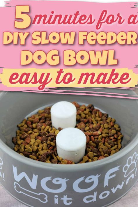 Dog Bowls Diy, Feeding Puppy, Dog Slow Feeder, Slow Feeder Dog, Elevated Dog Bowls, Puppy Bowls, Diy Bowl, Frozen Dog, Dog Water Bowls