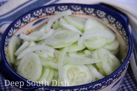 Iced Refrigerator Cucumber Salad - A tart and crisp cucumber salad. Picked Eggs, Garden Cucumbers, Salad Supreme, Cucumber And Tomato Salad, Cucumber And Tomato, Veggie Skillet, Seven Layer Salad, Salad Cream, Deep South Dish