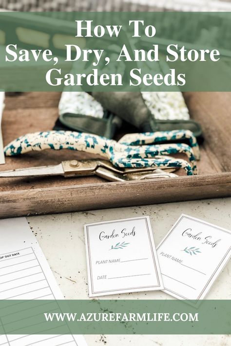 How To Dry Seeds For Next Year, Profitable Hobbies, Azure Farm, How To Save Seeds, Save Seeds, Saving Seeds, Seed Storage, Healthy Seeds, Bean Seeds