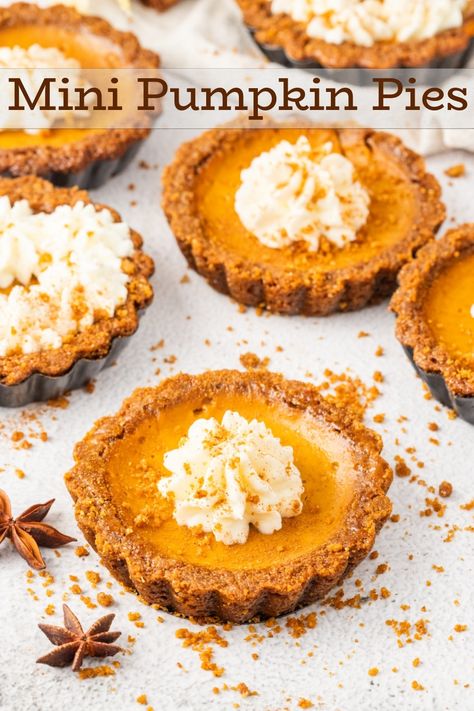 These Mini Pumpkin Pies feature a velvety pumpkin filling in a gingersnap crust, crowned with clouds of decadent whipped cream. The gingersnap crust isn't just a crunchy foundation, but a unique-tasting gateway to the familiar flavors of homemade pumpkin pie. These mini desserts are going to be the most popular item on your holiday table. via @cmpollak1 Pig Pumpkin, Mini Pumpkin Pies Recipe, Pumpkin Bites, Pumpkin Filling, Pumpkin Tarts, Dessert Waffles, Mini Tarts, Gingersnap Crust, Mini Pumpkin Pies